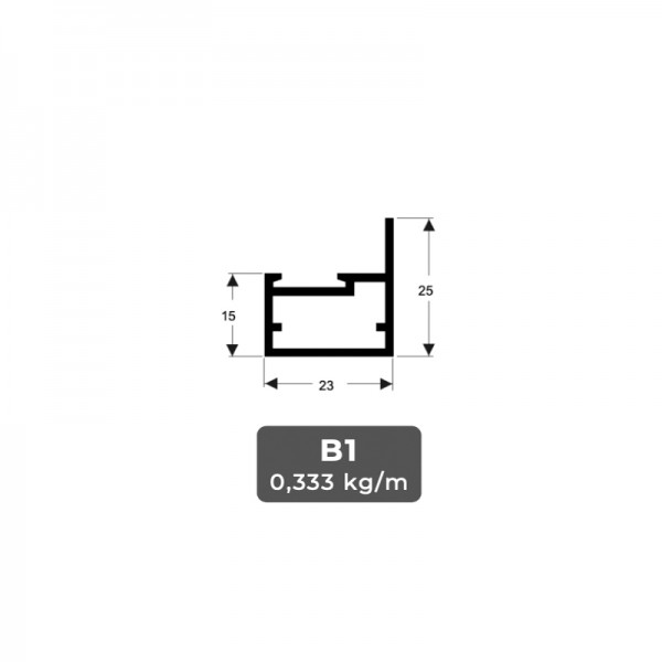 B1